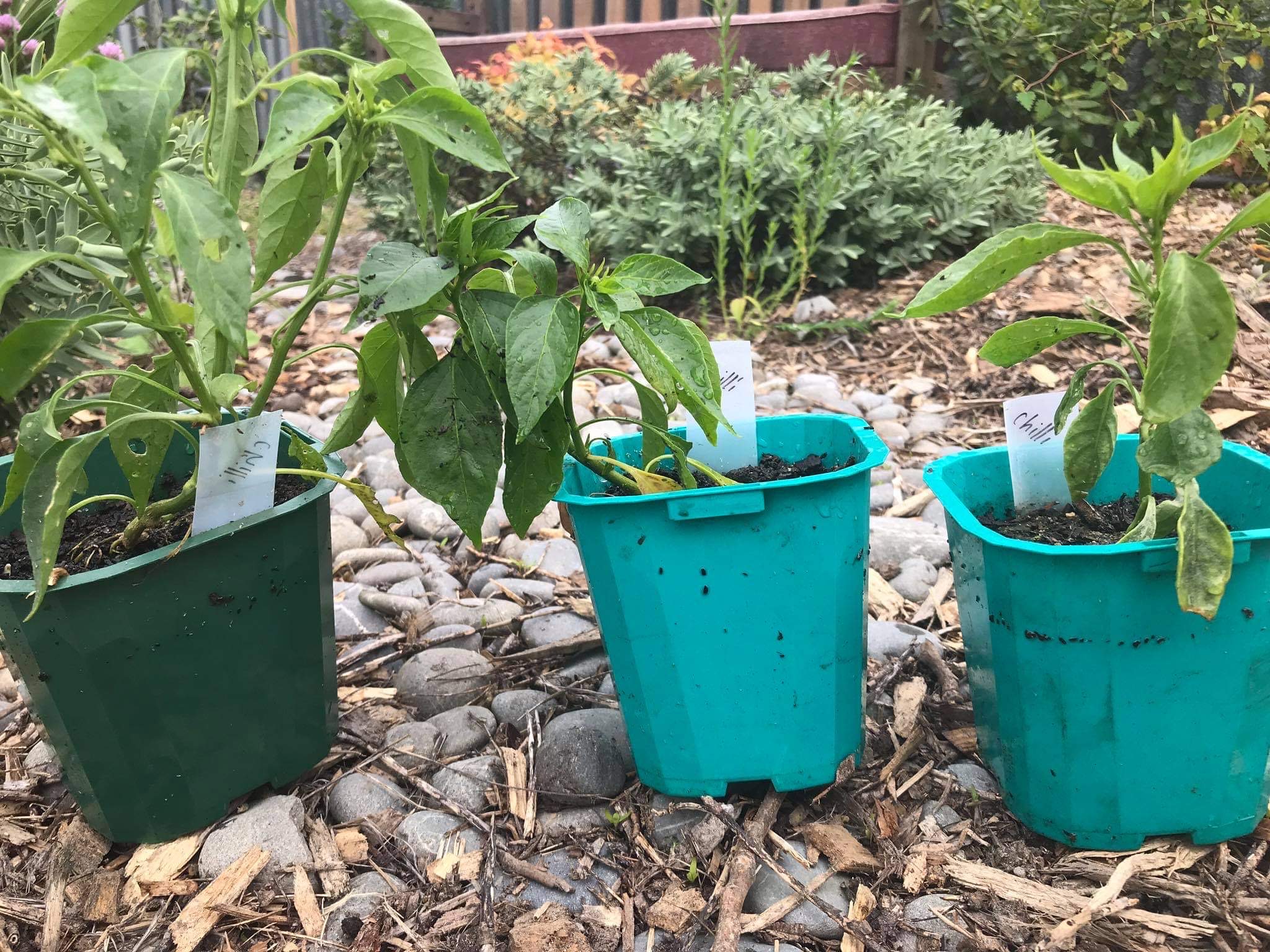 The time of year for passing on