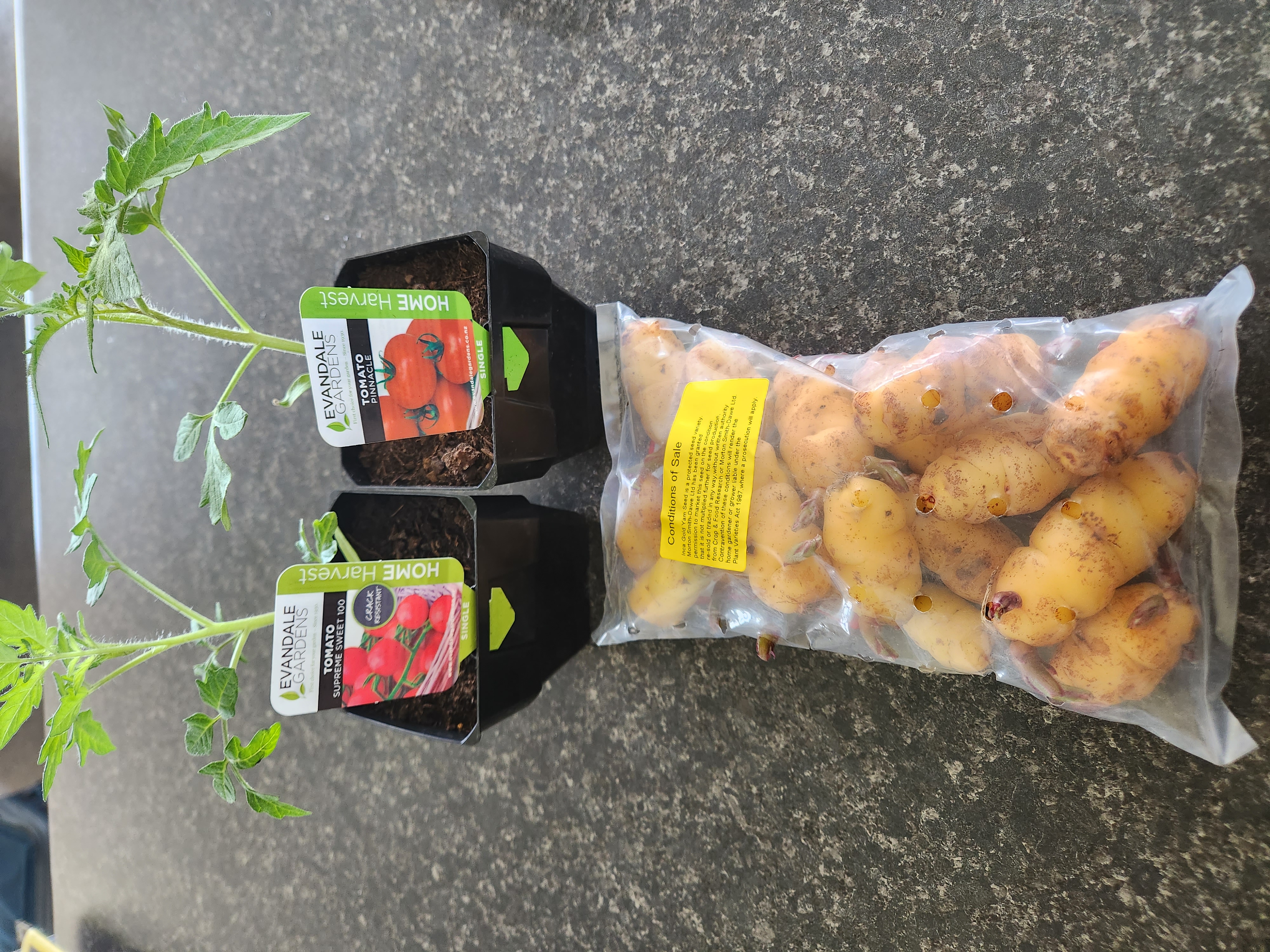 Temptations too much