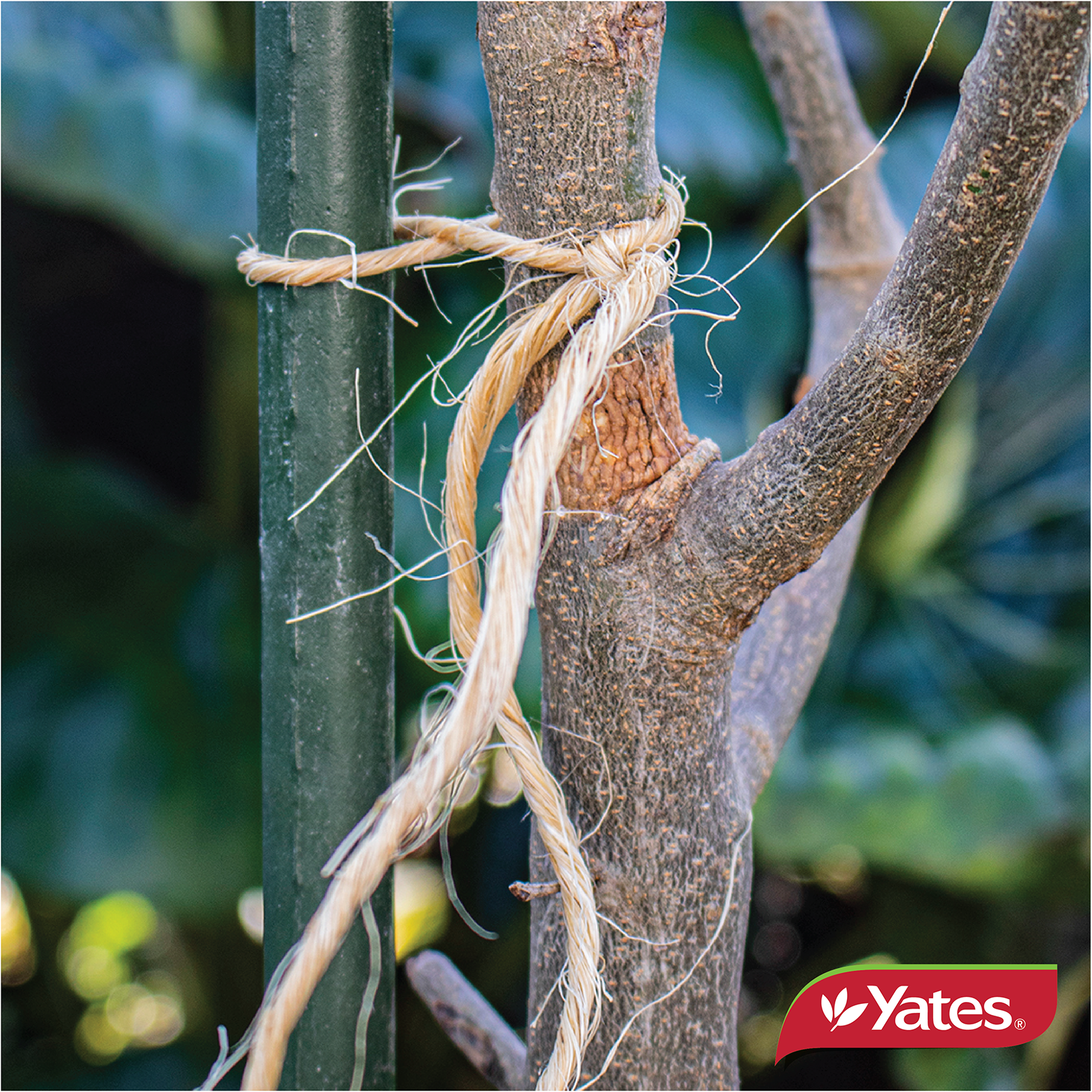 Yates Twine Web V1 03