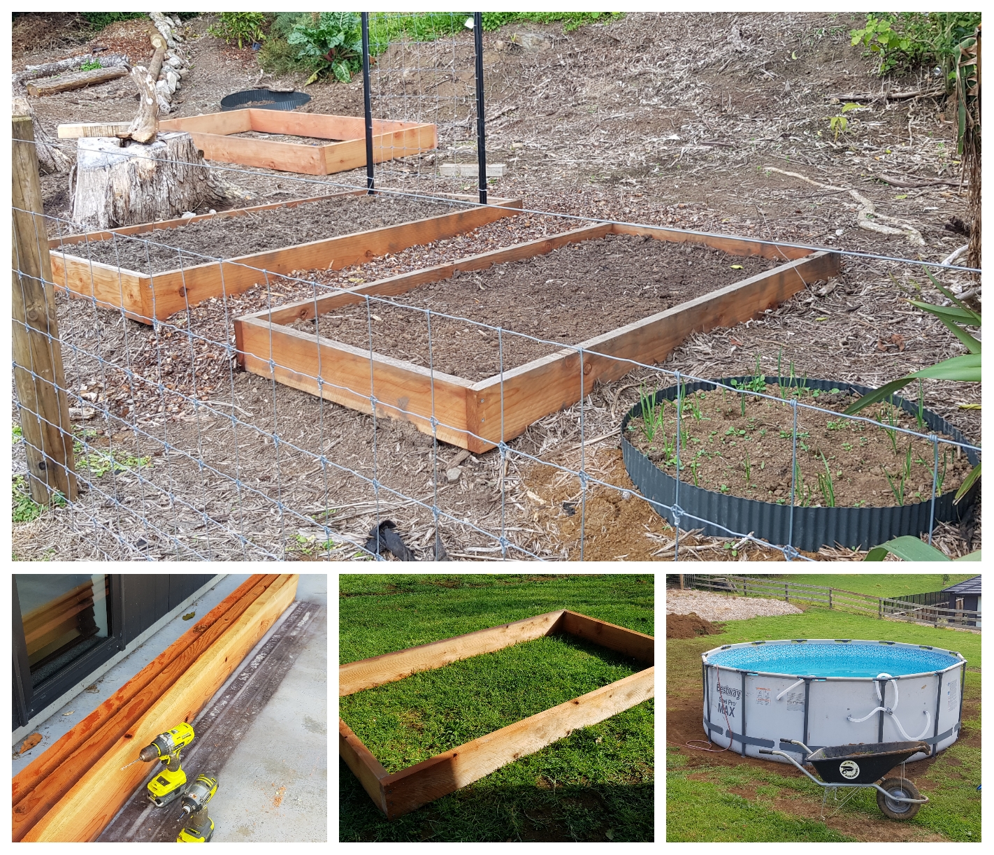 Taking It Day By Day