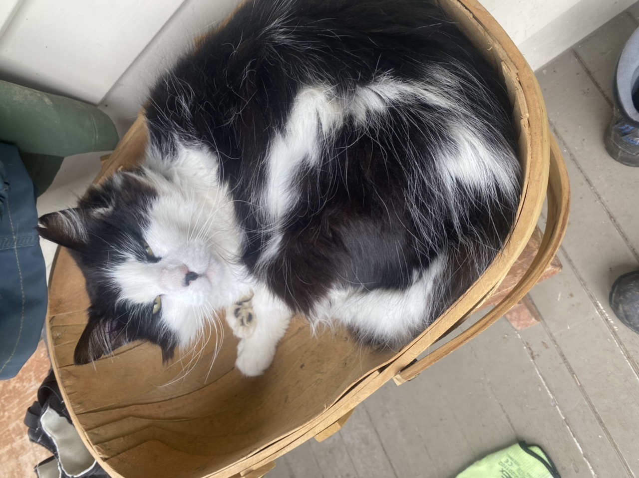 Big thanks to you all