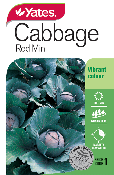 Cabbage 'Red Mini'