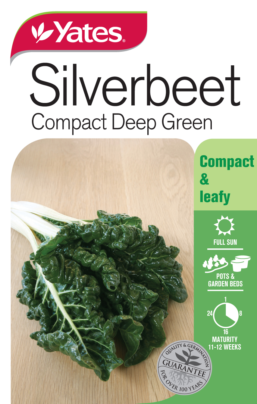 Silverbeet 'Compact Deep Green'