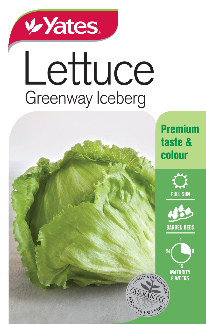 11297 Yates Vege Lettuce Greenway Packet Seed