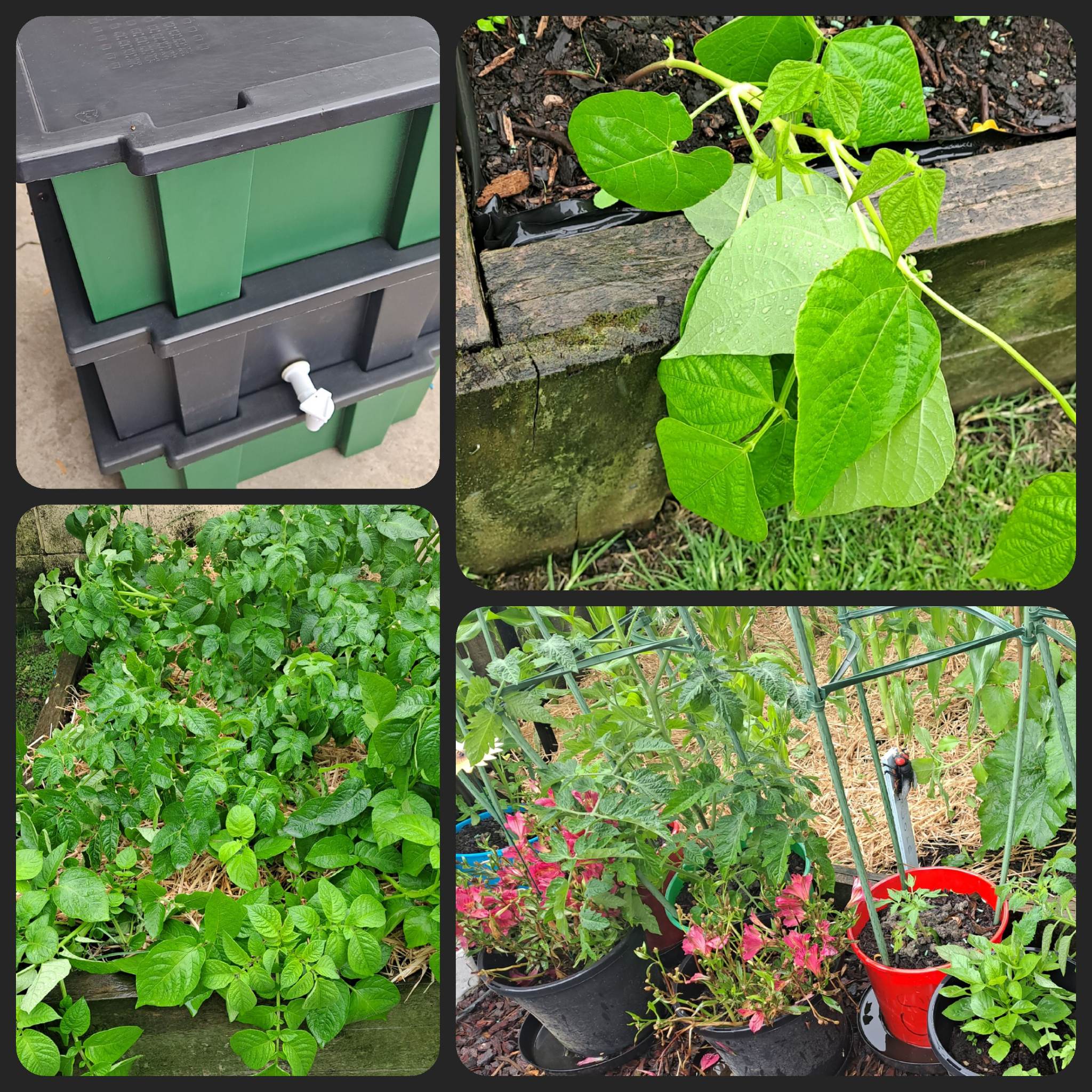 A Wee Bit Wet Once Again