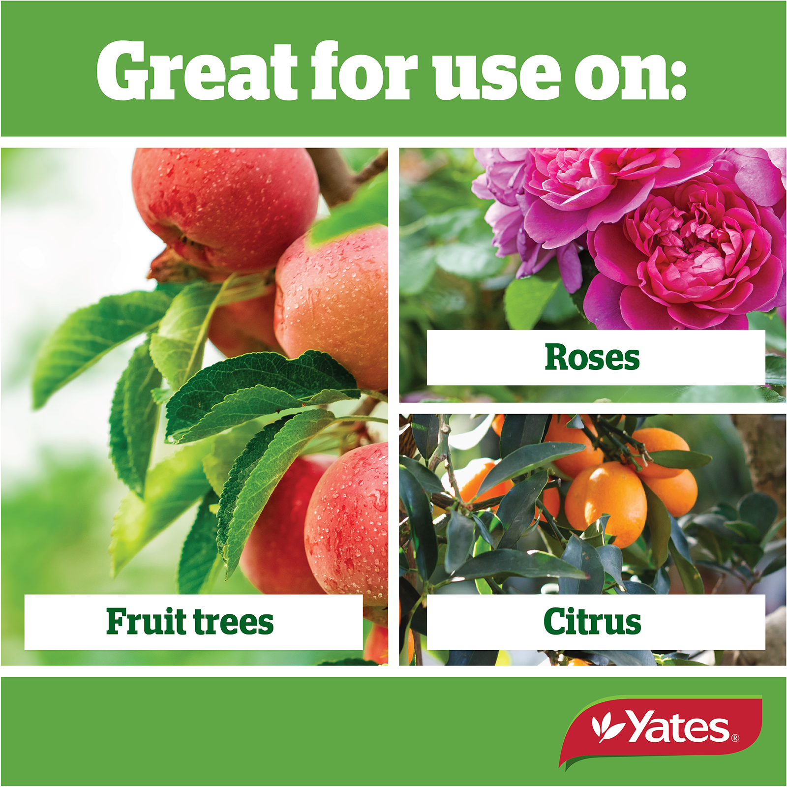 Yates Web Prunetec V1 02