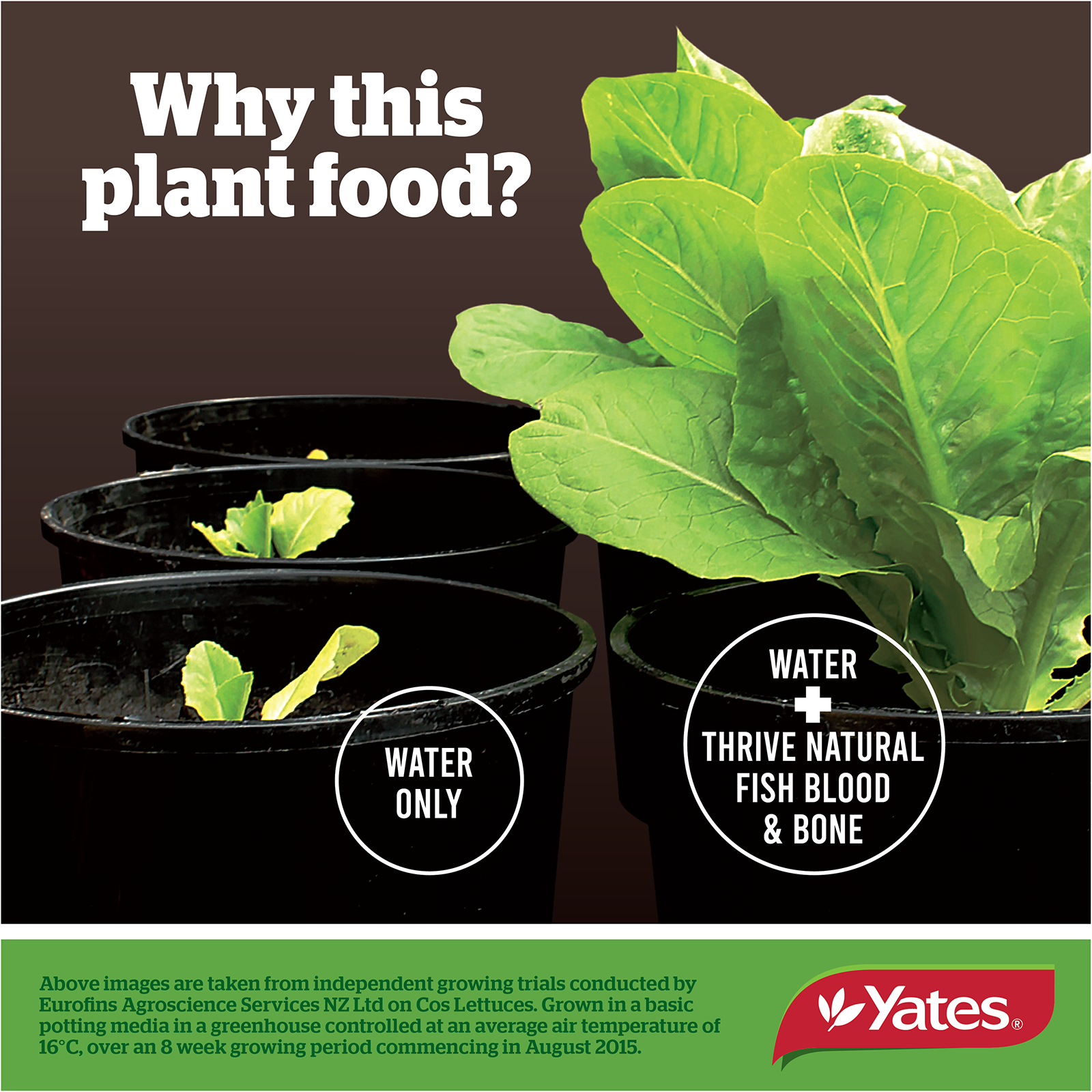 Fish Blood & Bone Fertiliser V1 12