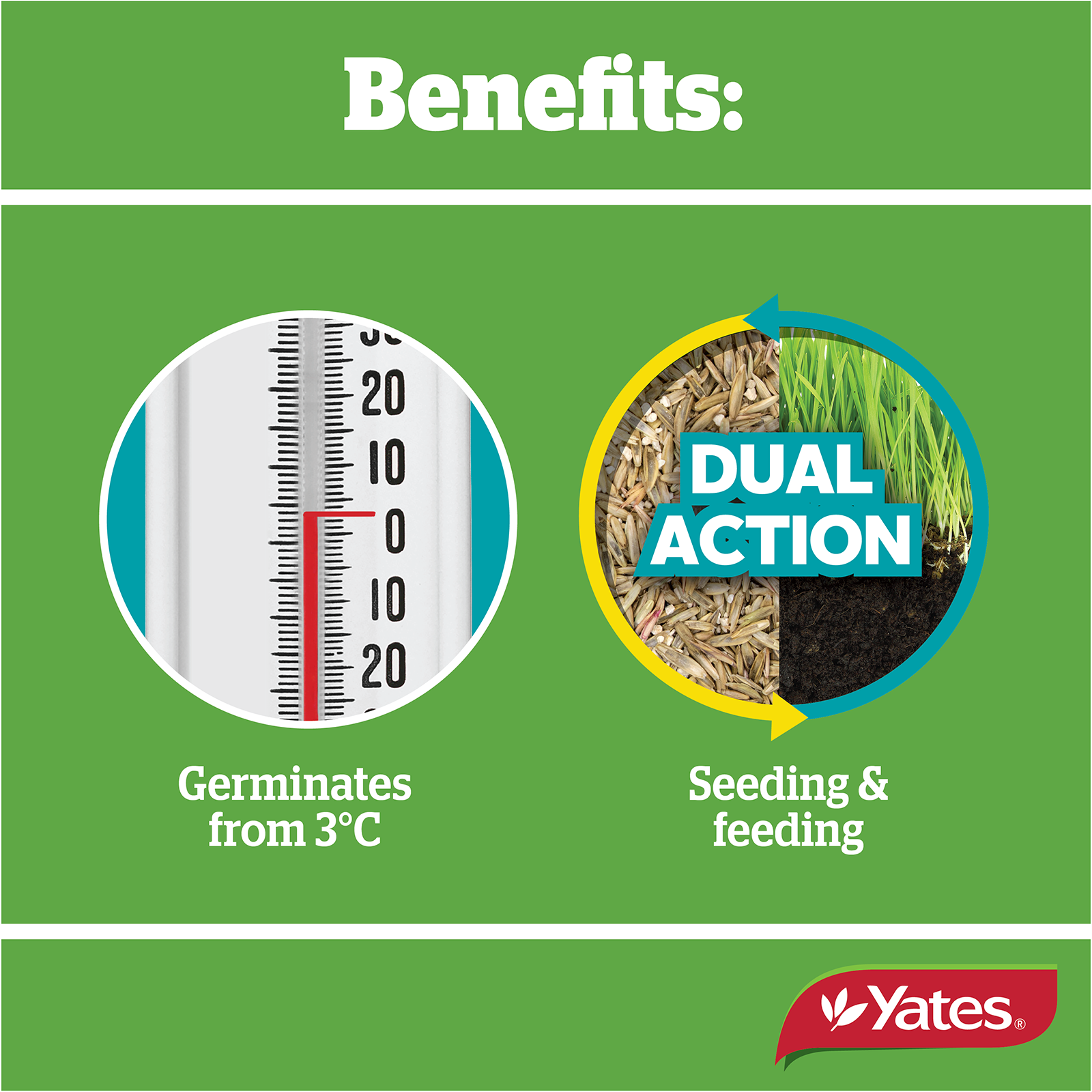 Yates Seednfeed V2 06