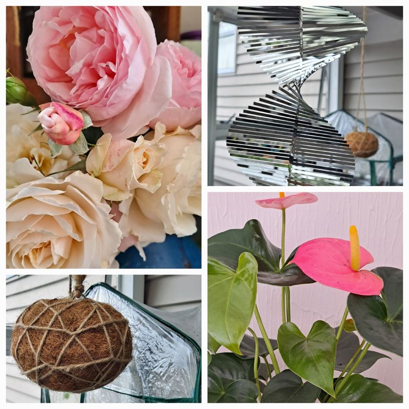 Busy Few Days