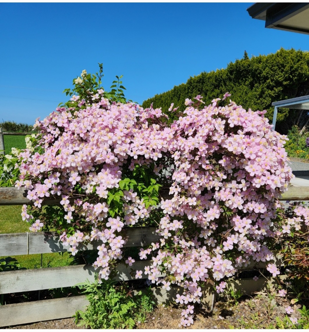 You Are All Amazing!