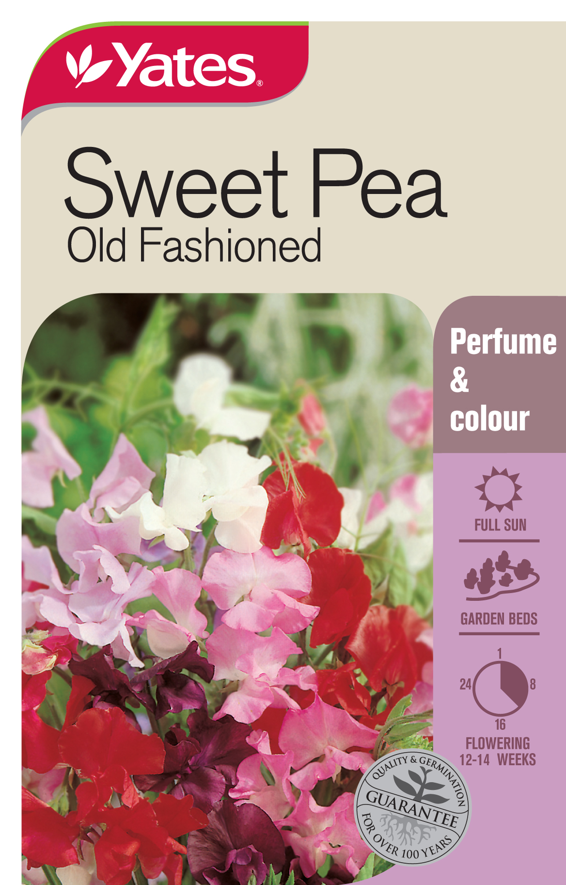 19036 Yates Flwr Sweet Pea Old Fashioned Packet Seed