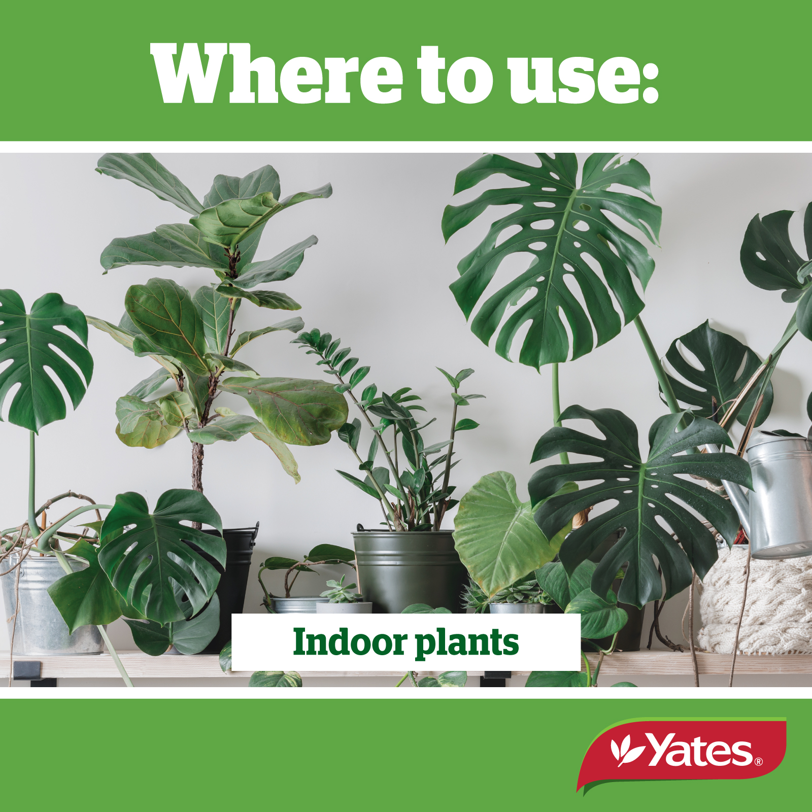 Yates Web Info GNAT BARRIER3