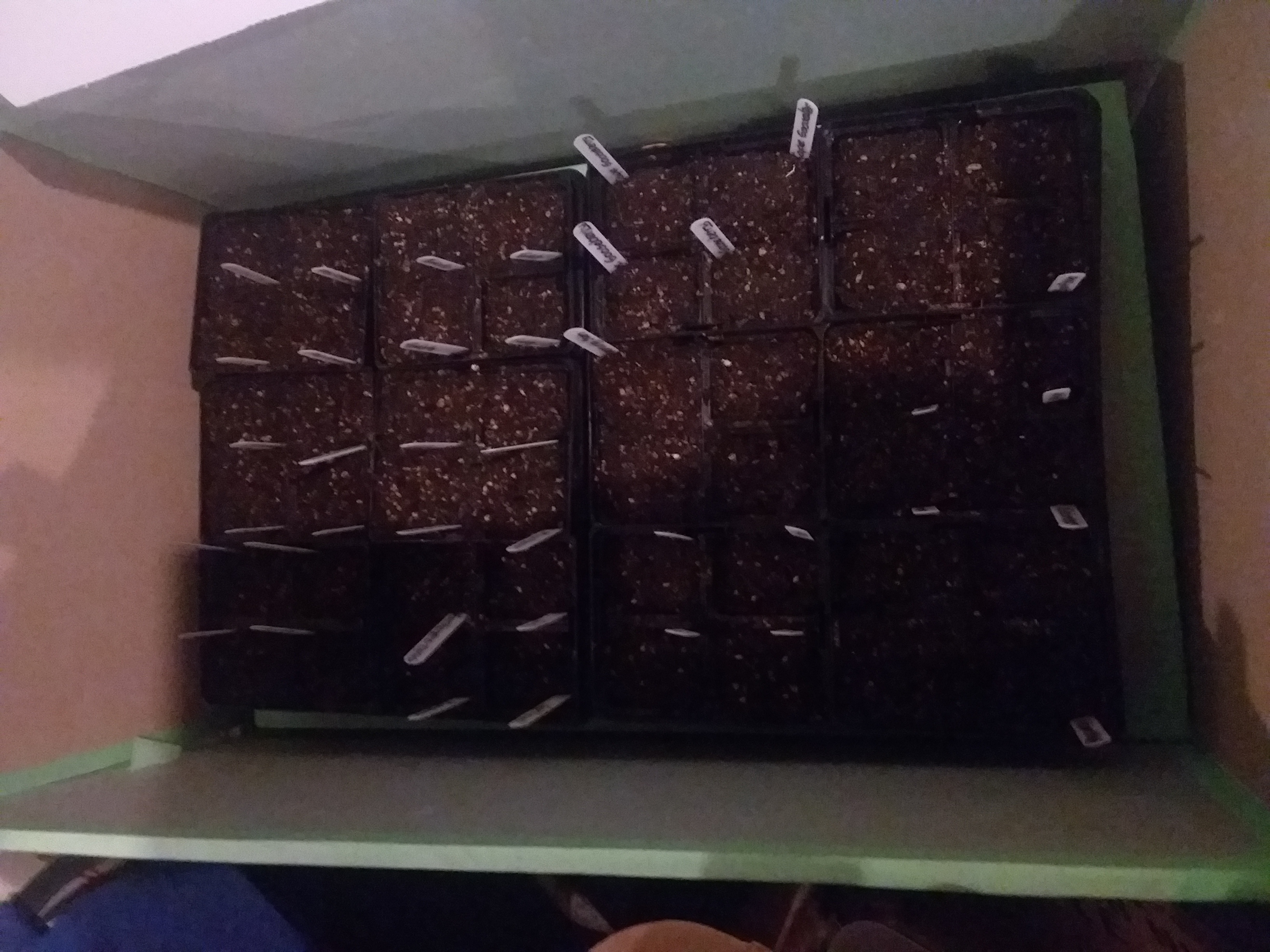 A new spring, another attempt