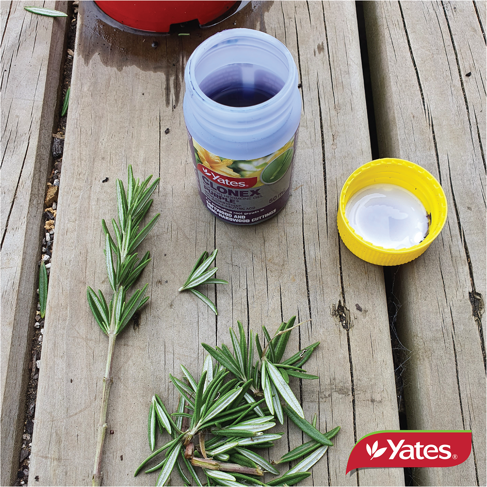 Yates Clonex Web V2 07