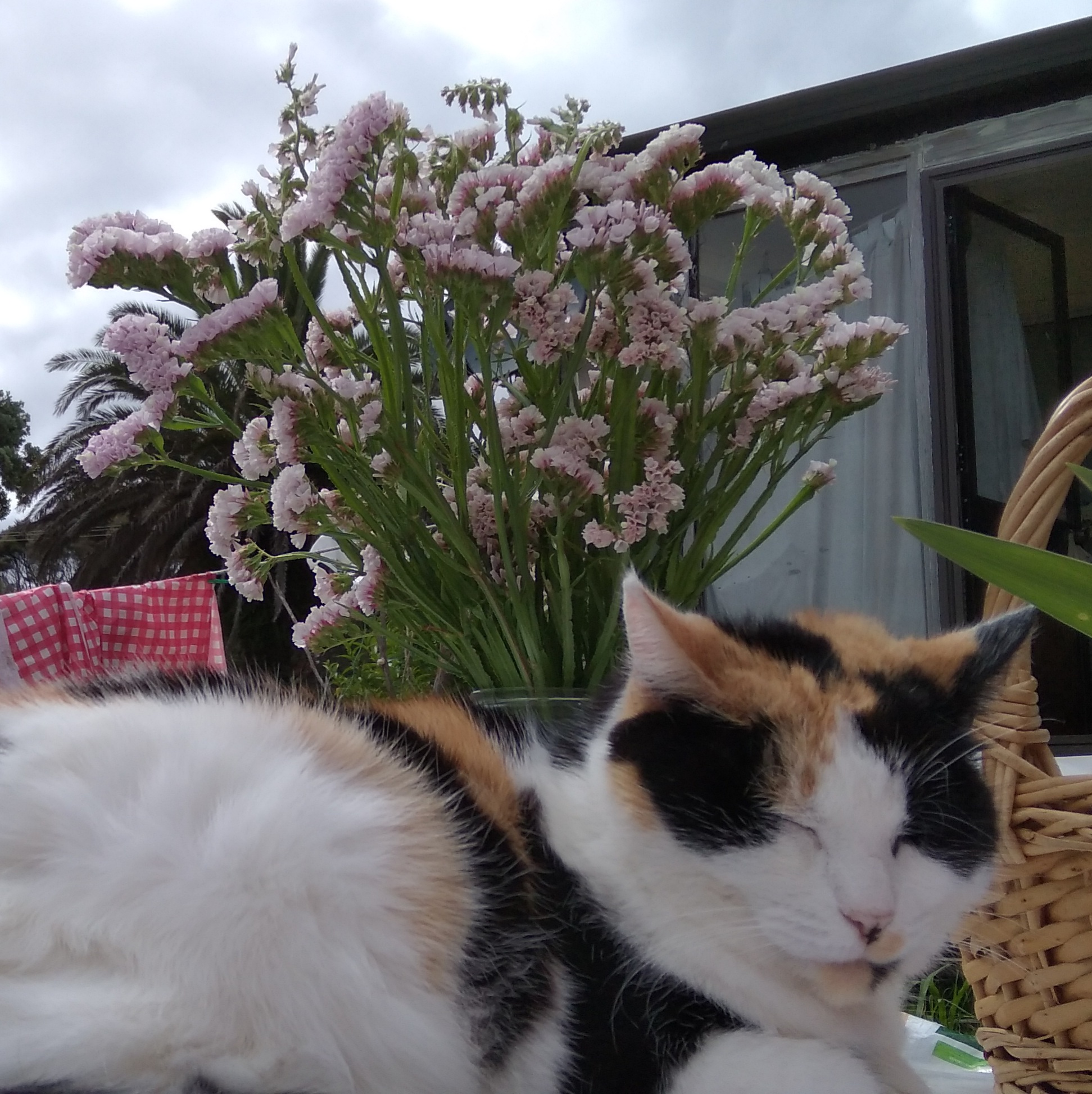 And on the 7th Day she rested... 