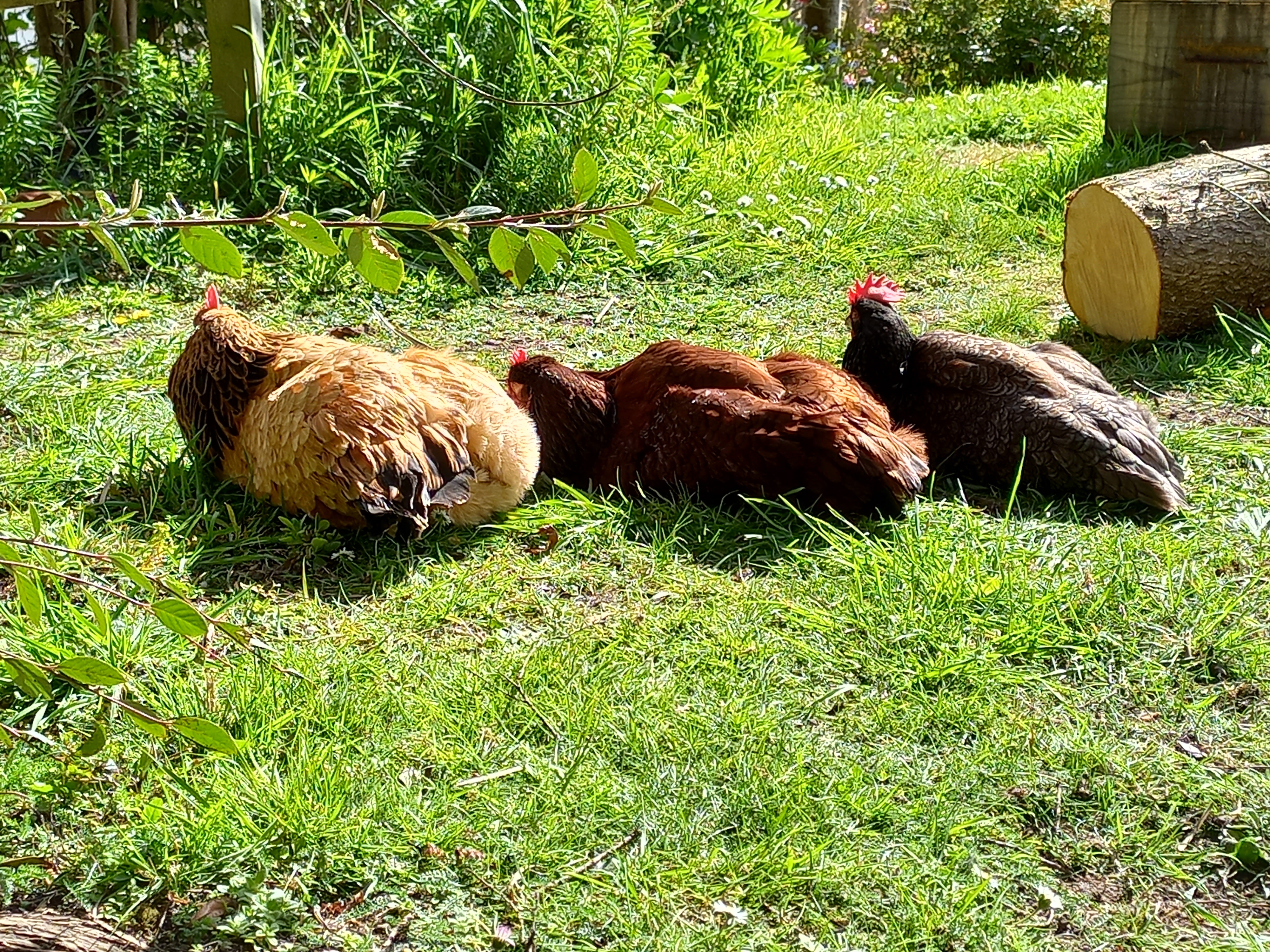 About new friends and new source of fertiliser