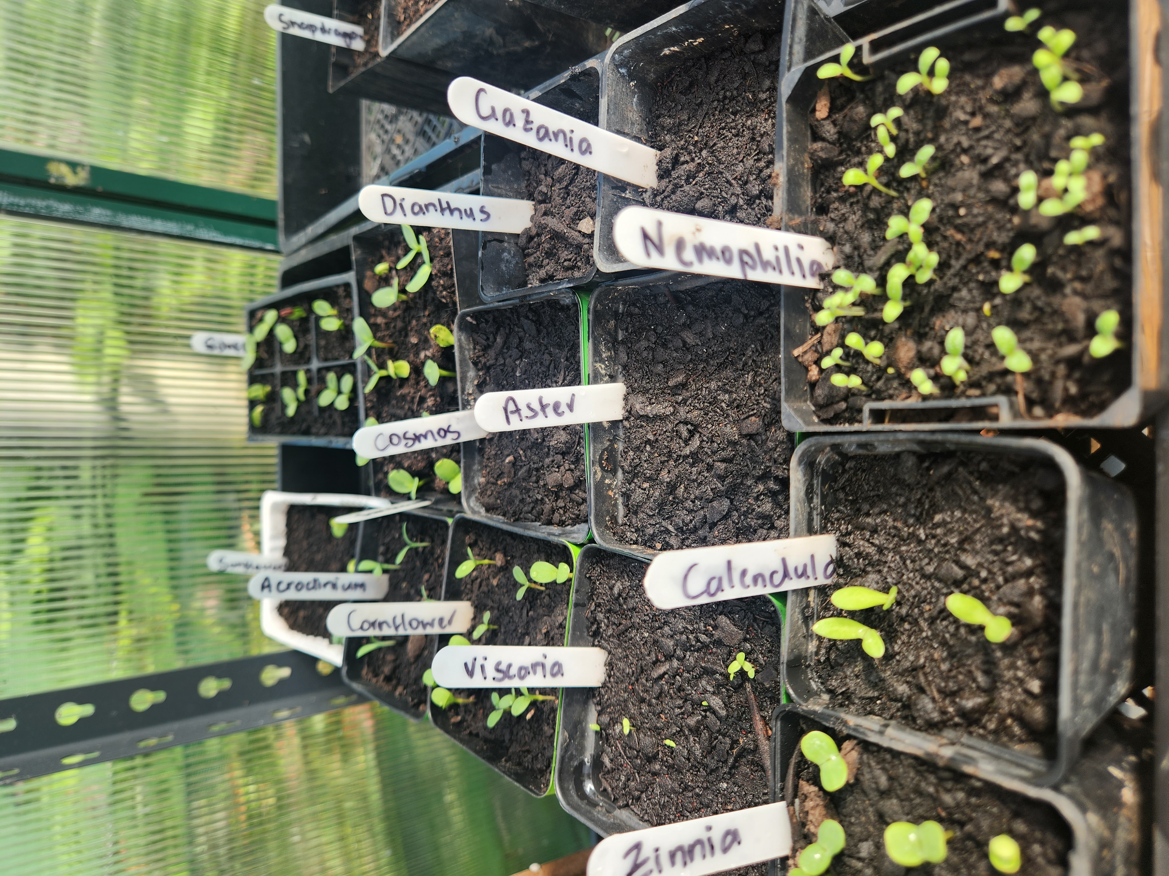 Oh hey, my soon to be pretties