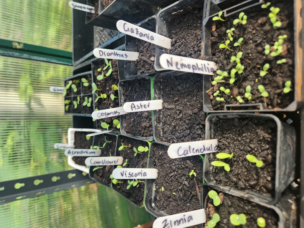 Oh hey, my soon to be pretties