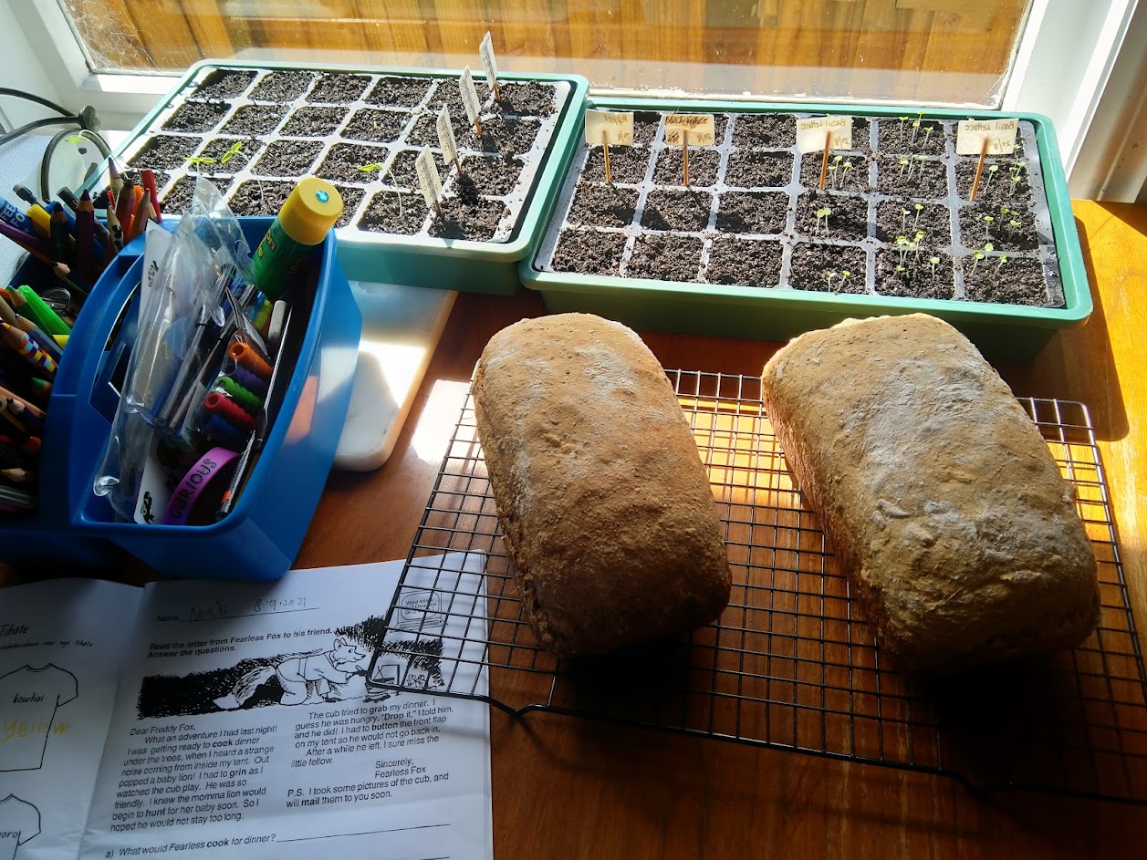 Lockdown Life & Mini Challenge One