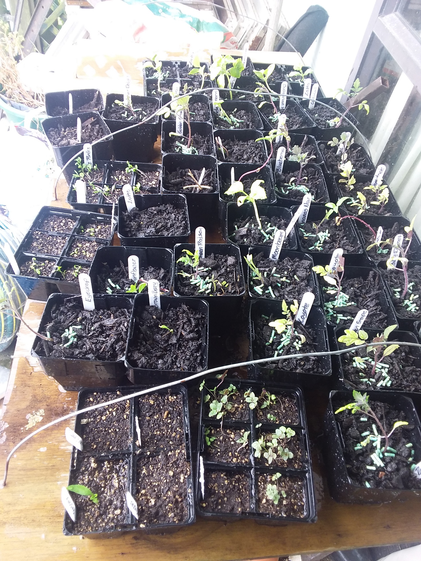 Still plodding along