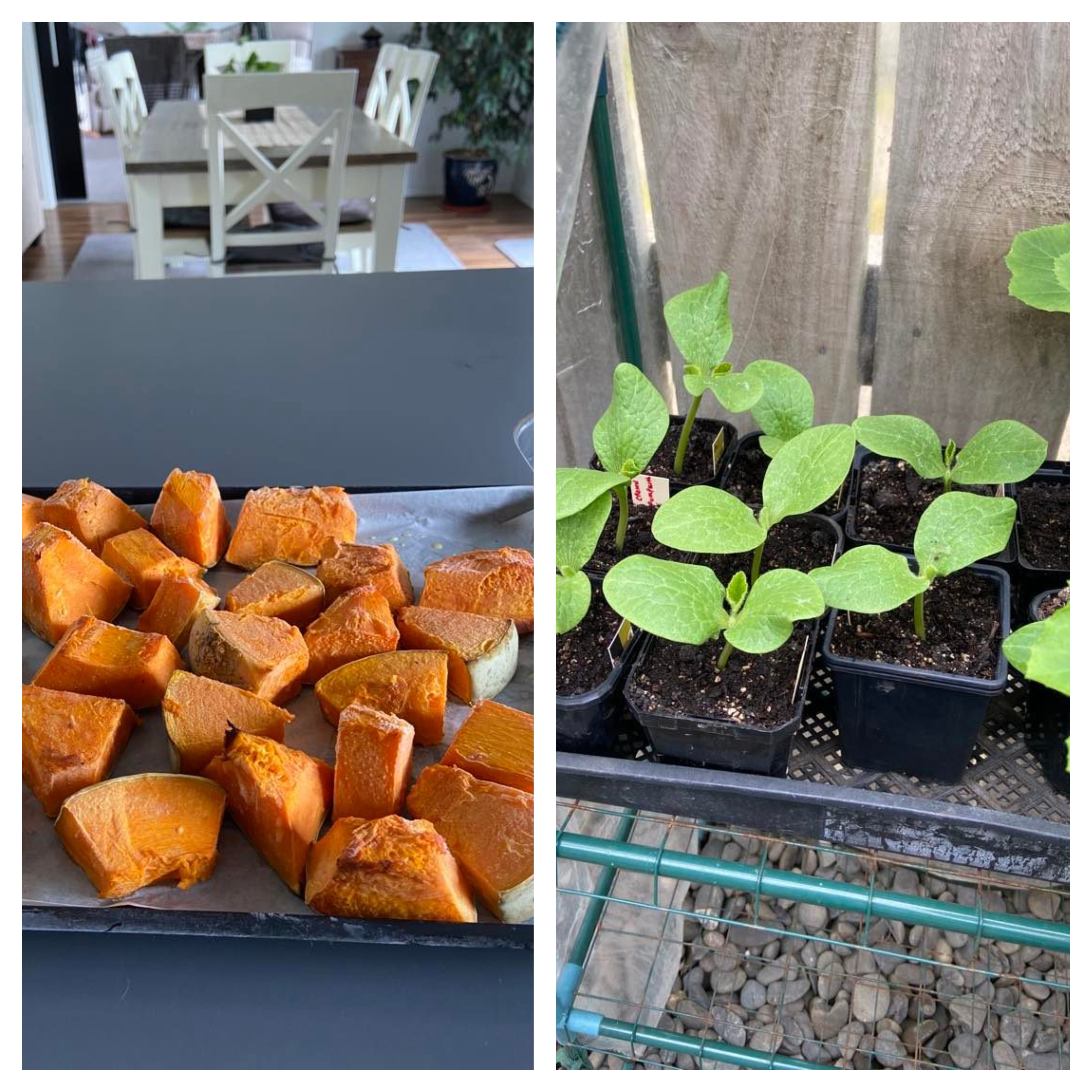 An End and a Beginning