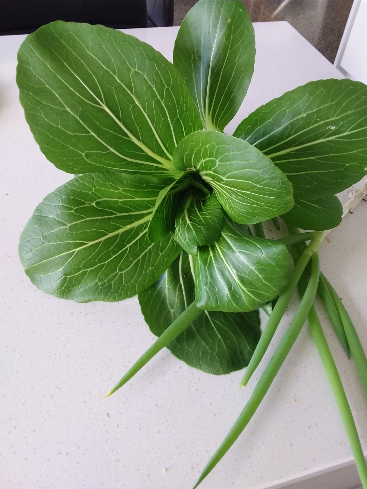 Meet Your Neighbors Nomination