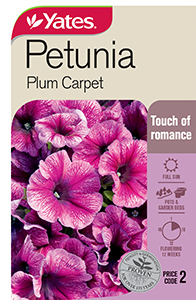 Petunia 'Plum Carpet'