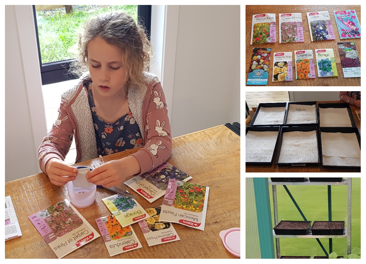 Wildflowers For Carol Jane