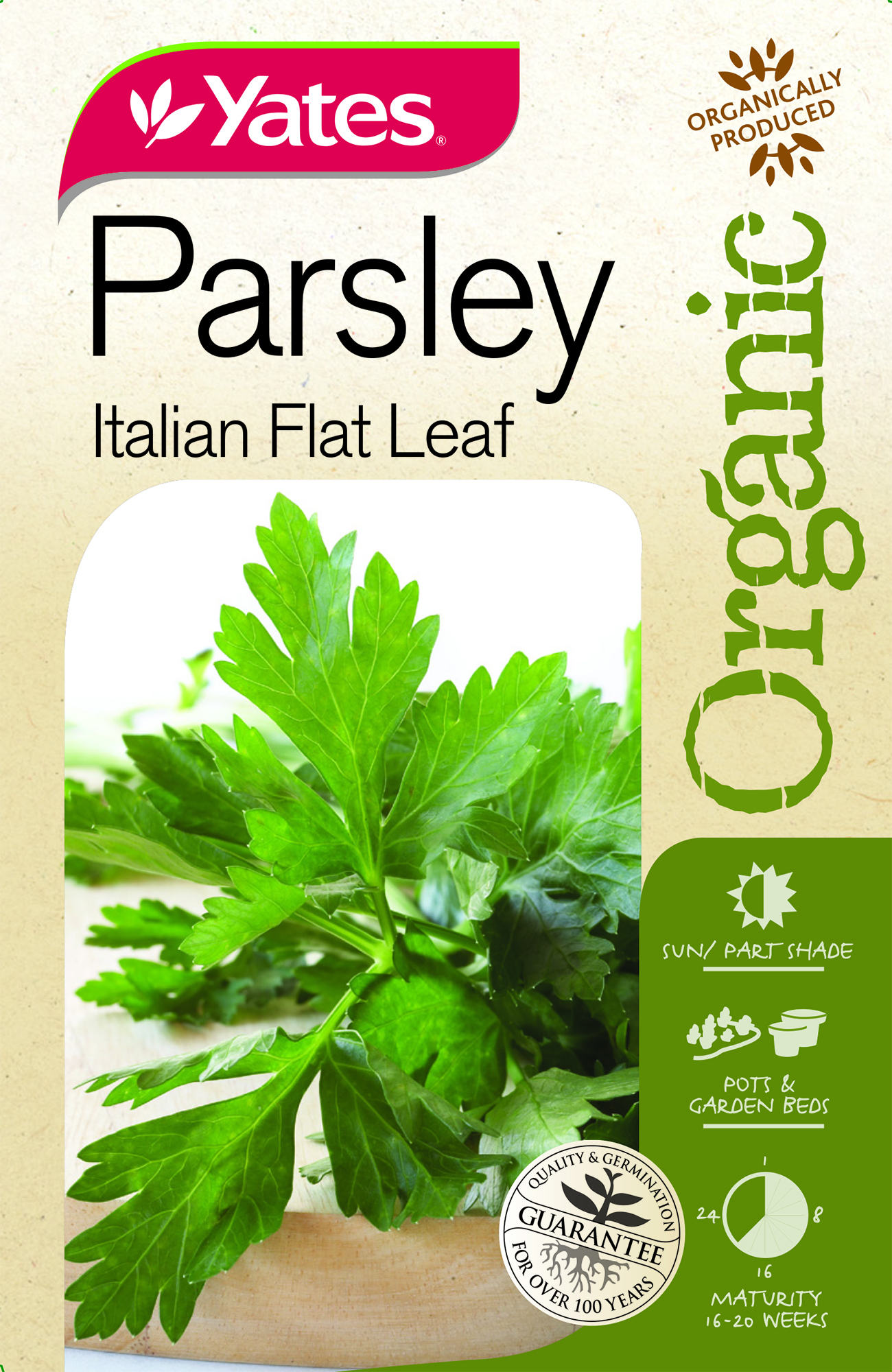 Parsley Italian Flat Leaf (Organic)