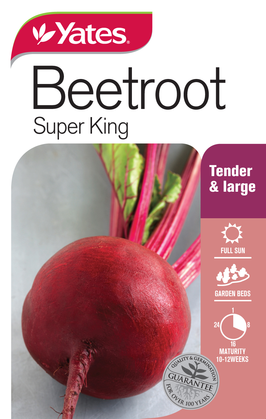 Beetroot 'Super King'