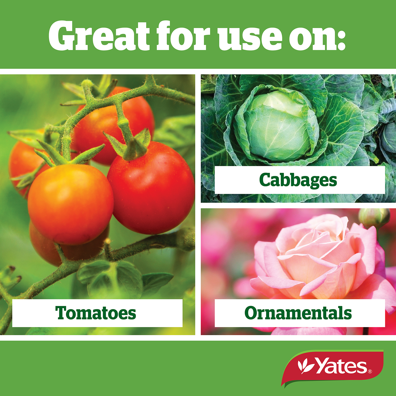 Yates Web Info MAVRIK 04