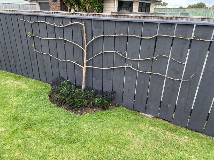 Let's Paint the Fence...