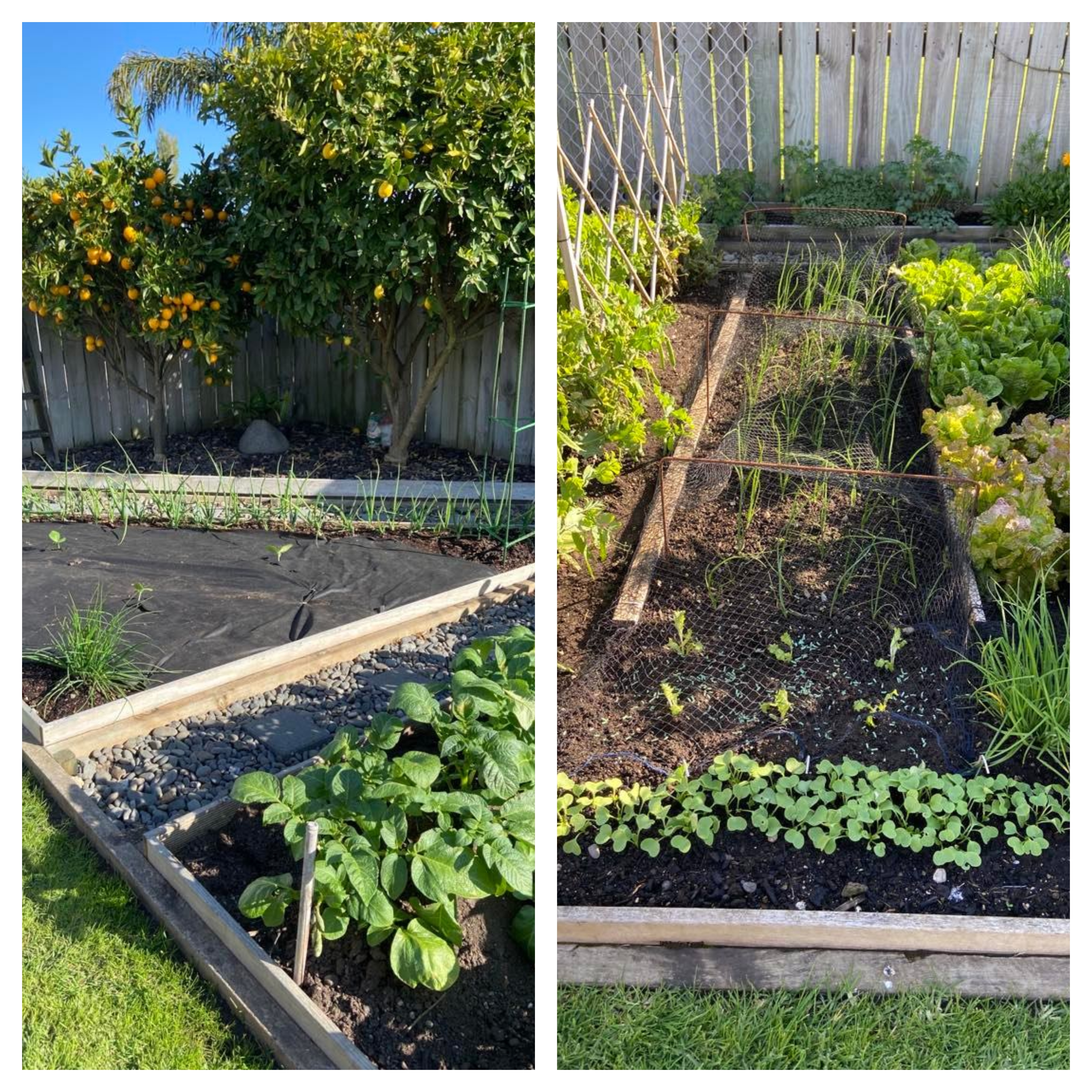 A bit of this and a bit of that...