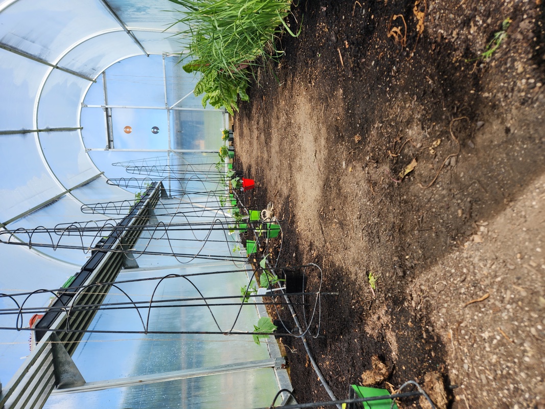 The prep continues - tunnel house two