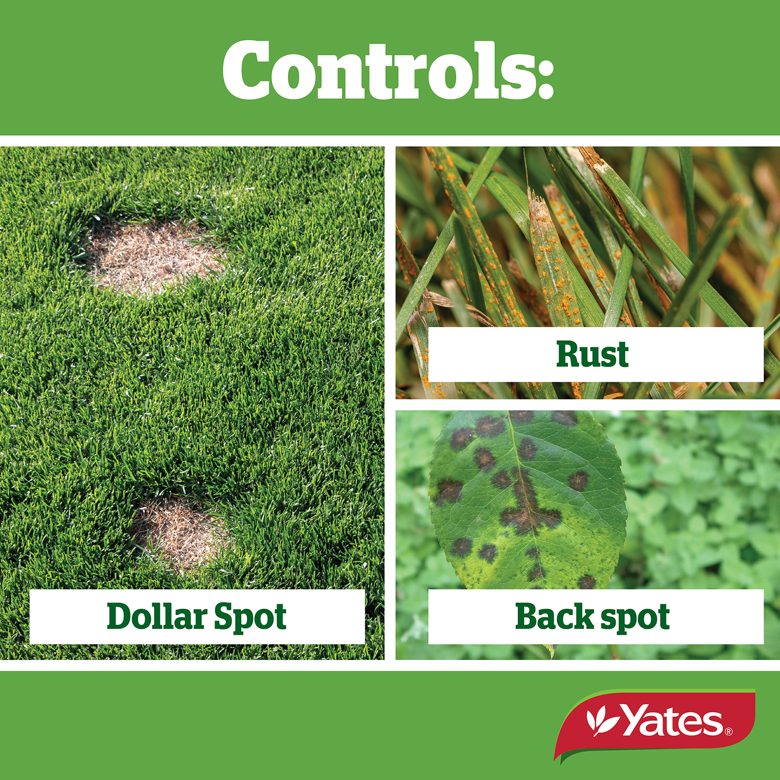 Yates Web Info FUNGUS FIGHTER V2 04