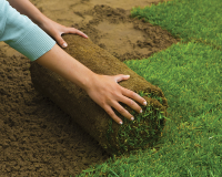 Guide to laying Rolled Turf or Ready Lawn