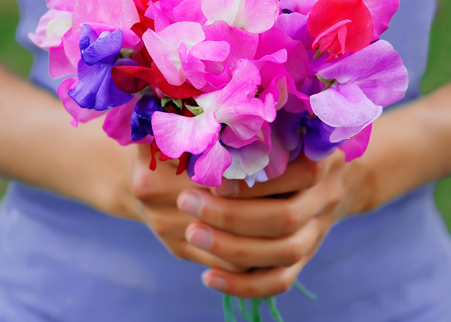 Sweet Pea Bouquet