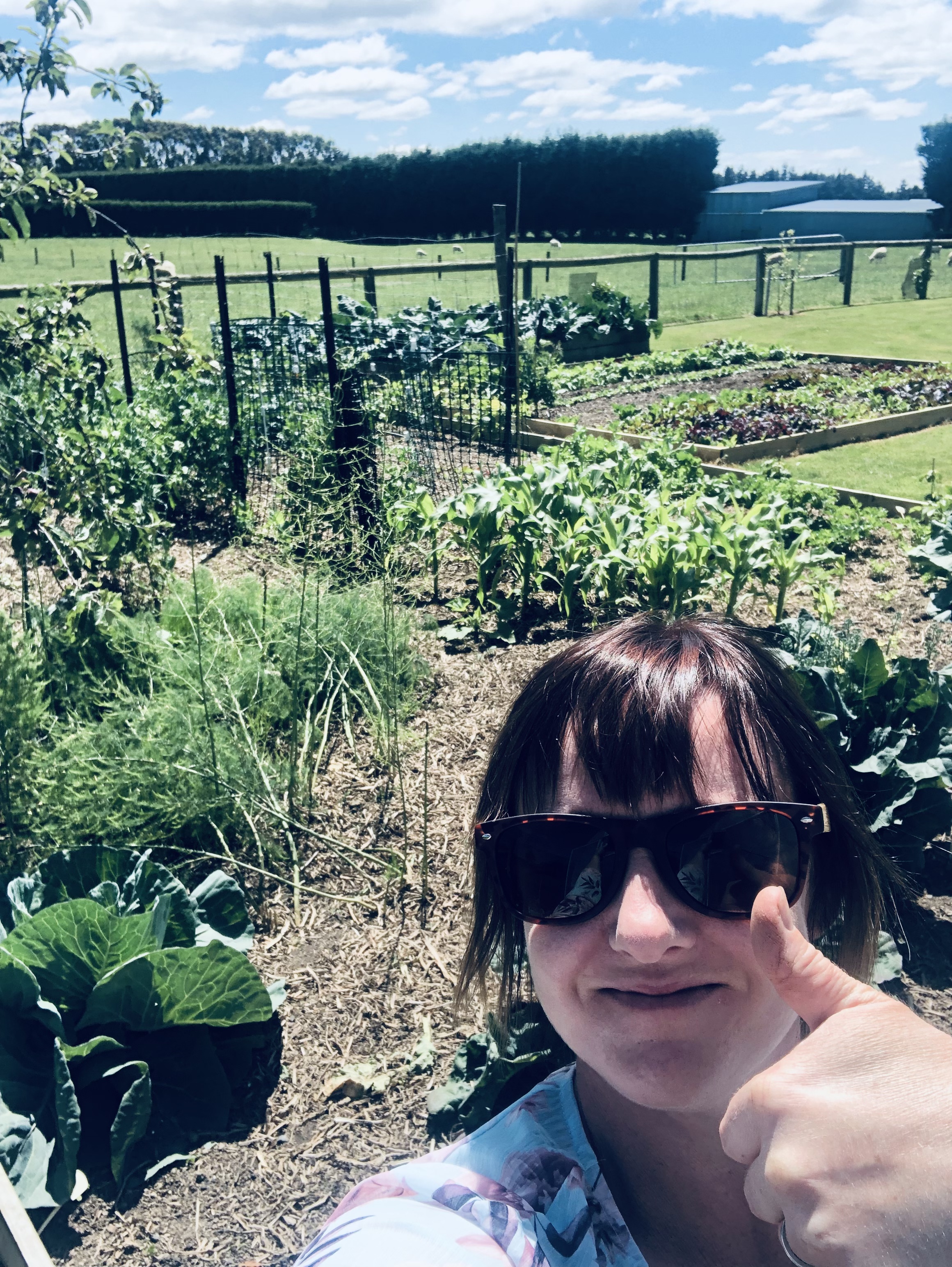 Reflection and Merry Christmas!