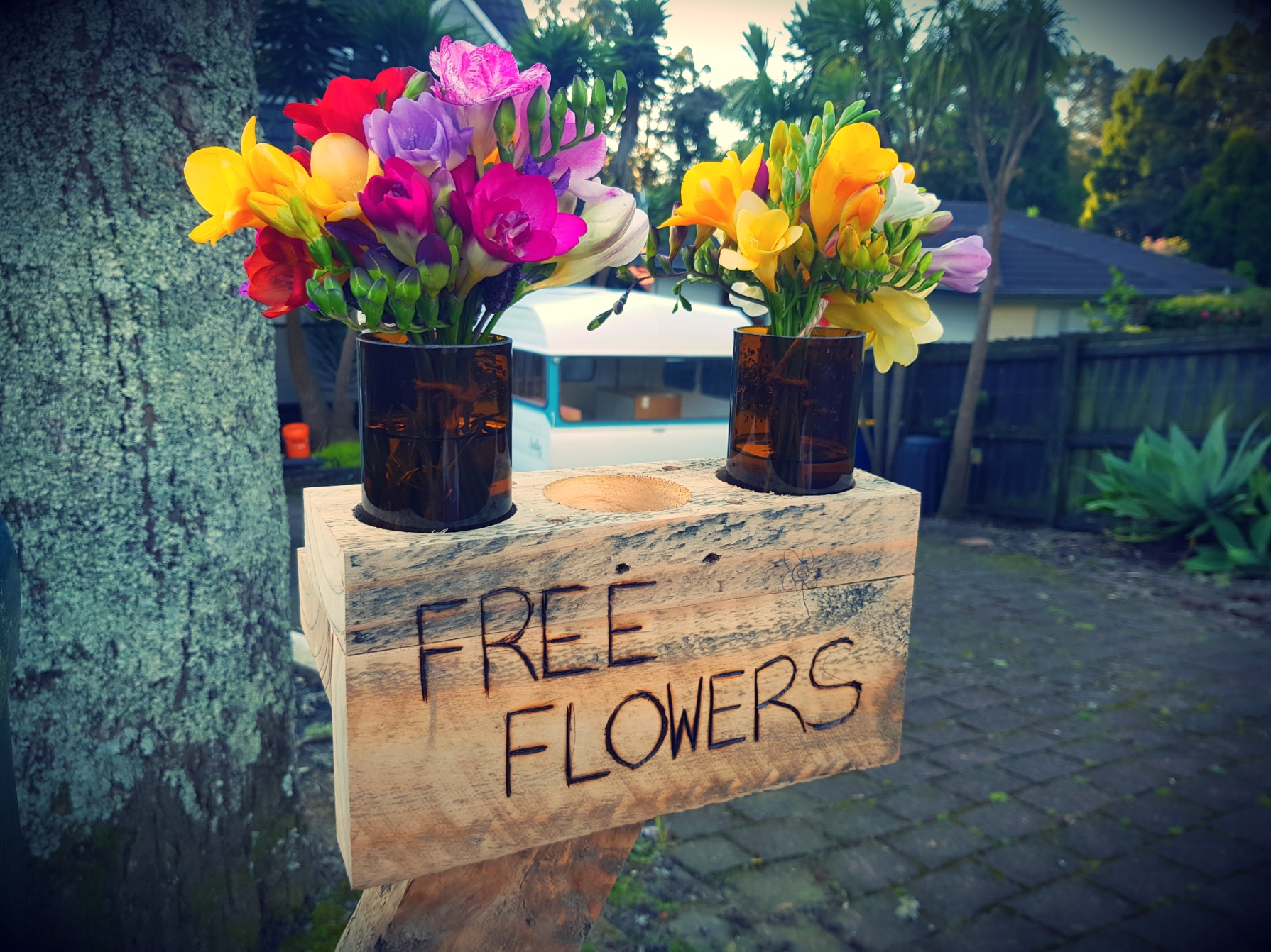 Free Flowers
