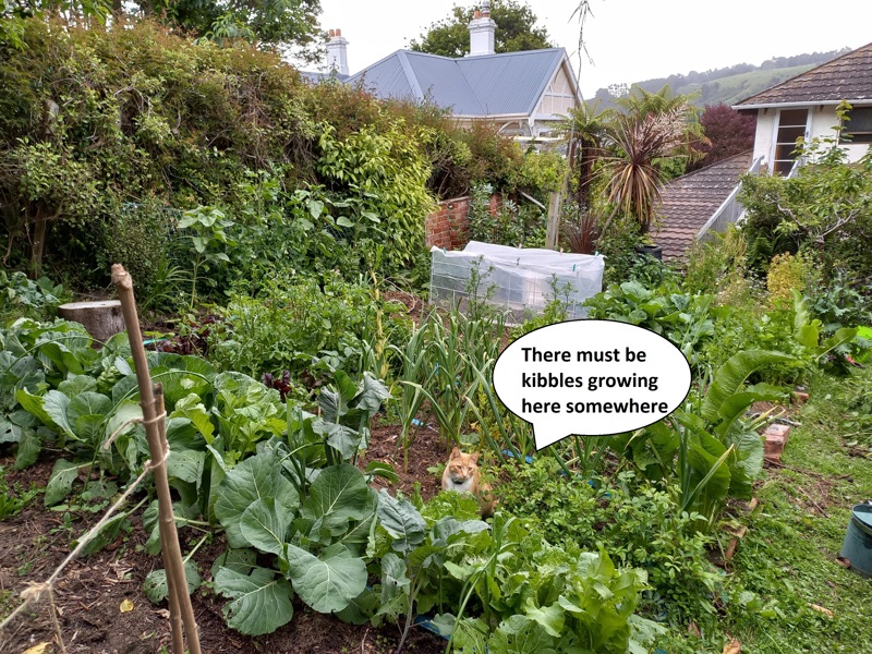 The dramas and comedies of the season