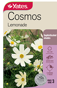 Yates Y35 978 Cosmos Lemonade 2021