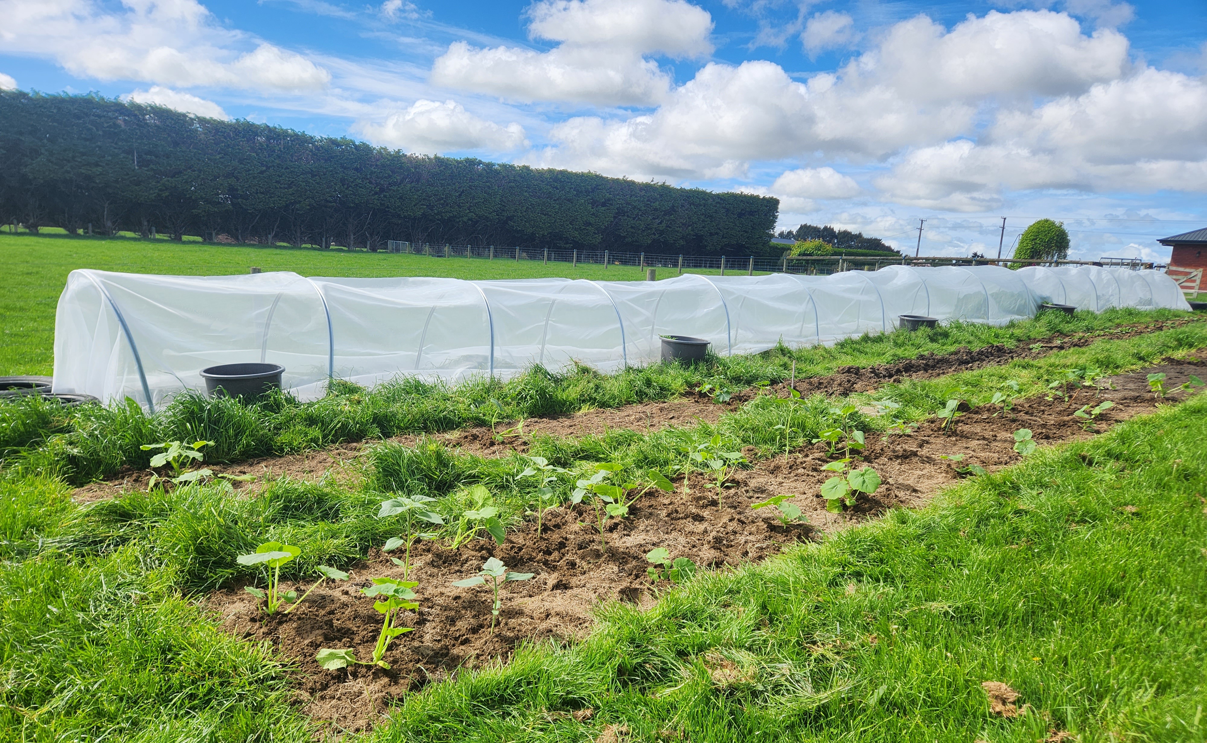 Now the nerves set in