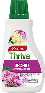 Yates Thrive Orchid Liquid Plant Food