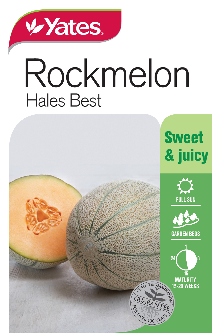Rockmelon 'Hales Best'