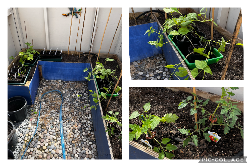 Just busting for summer!!!