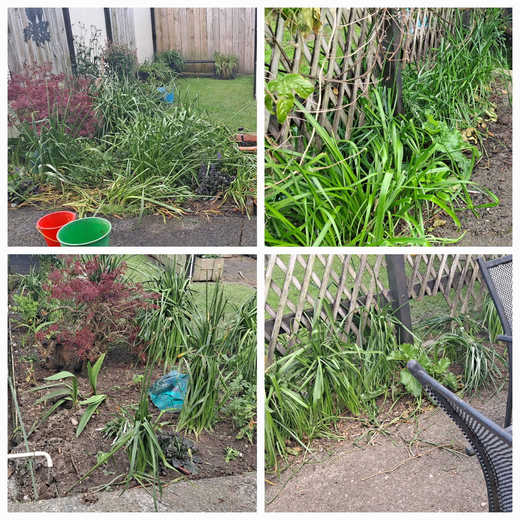 Chilly, but without the chilies