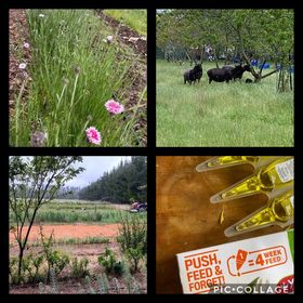 Its all go and I love it