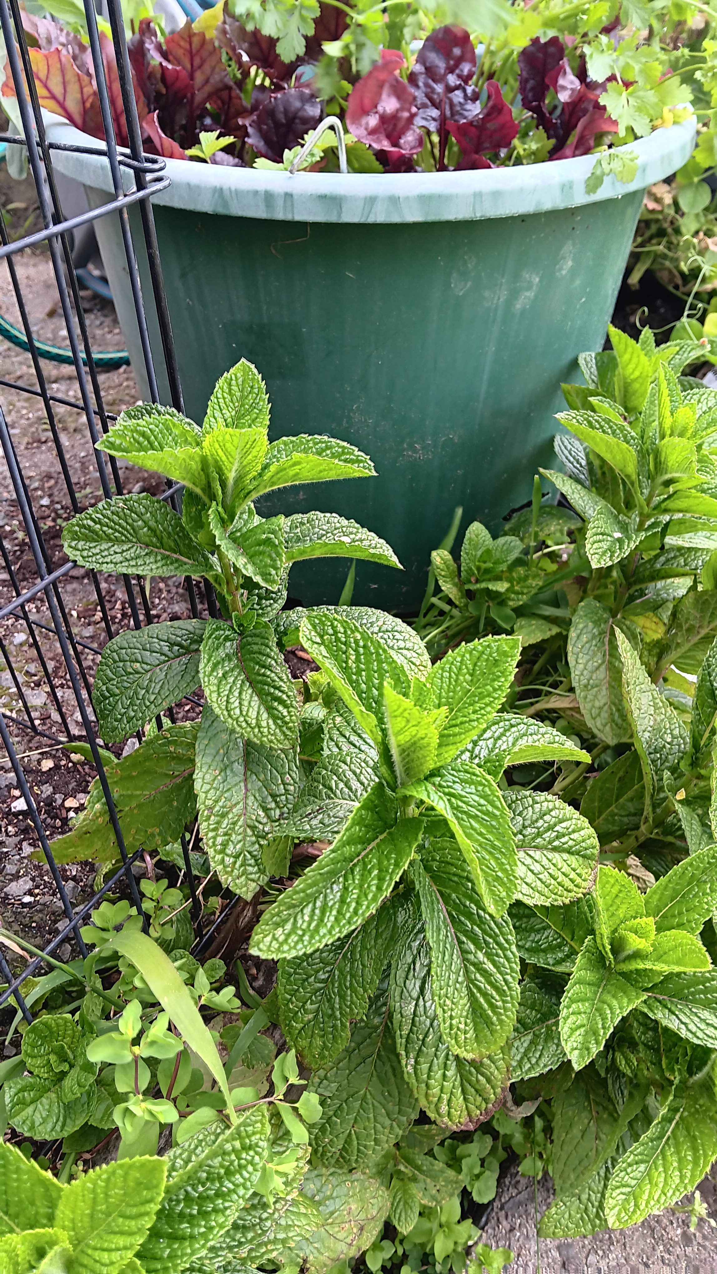 Getting things done.