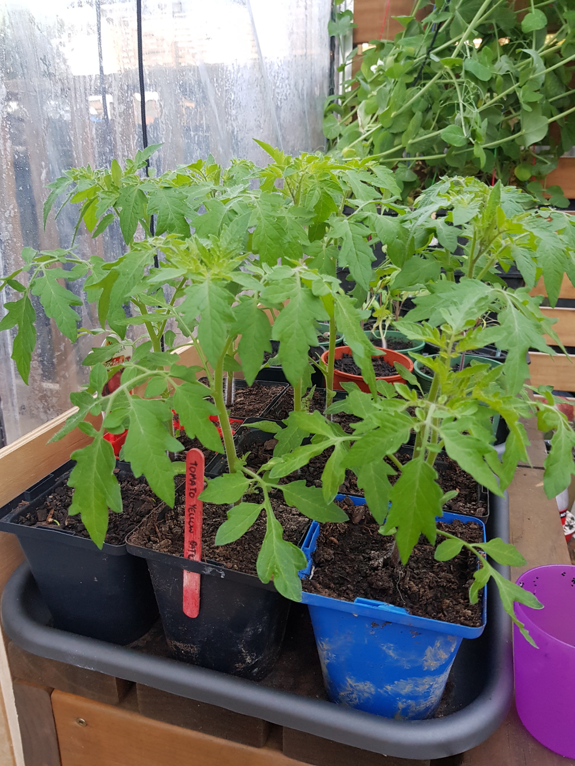 I expected miraculous growth