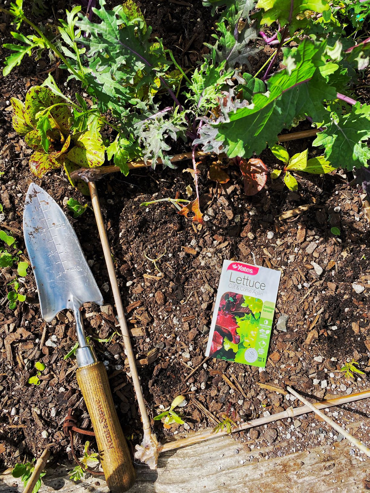 The slow start of the spring/summer planting..